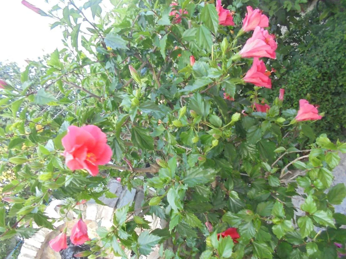 Vila Ori Ksamil Guest house